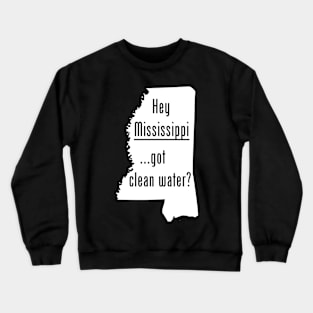 Mississippi - Got Clean Water? Crewneck Sweatshirt